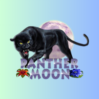 Panther Moon